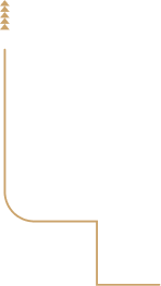 Cohome'ye Hoşgeldiniz